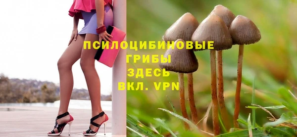 мет Новозыбков