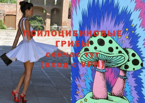 героин Новодвинск